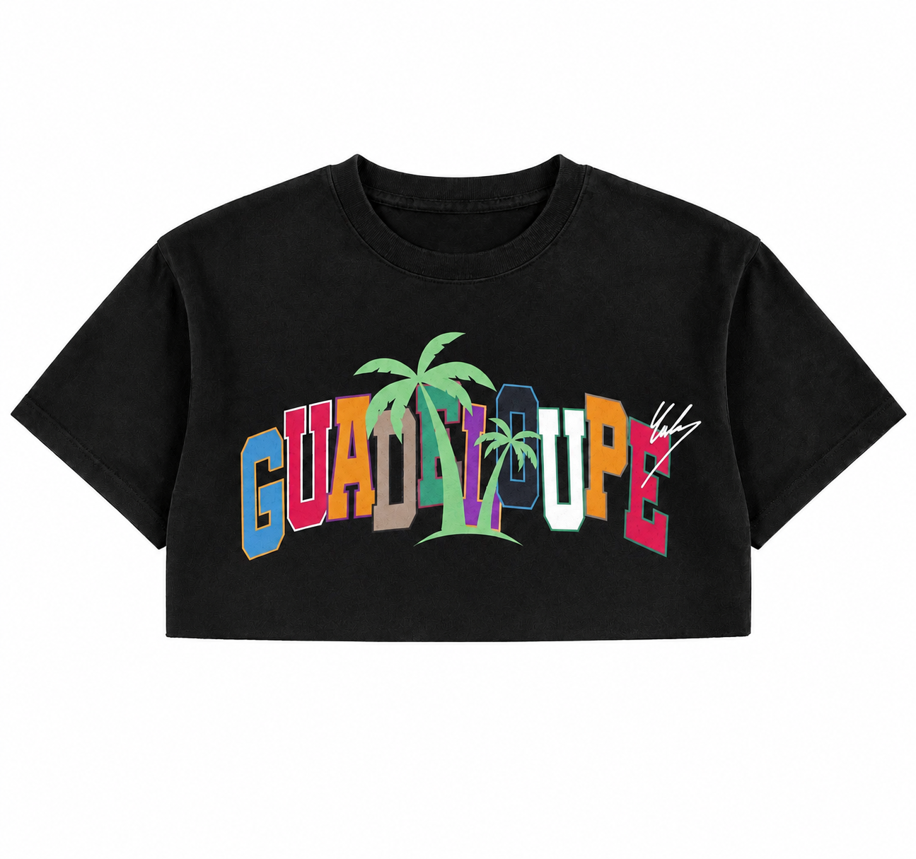 T shirt crop top
