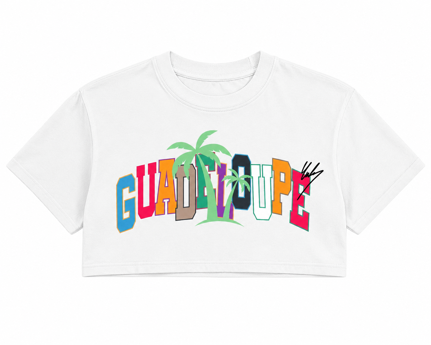 T shirt crop top